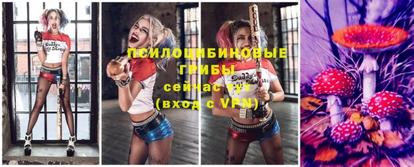 прущие крисы Алзамай