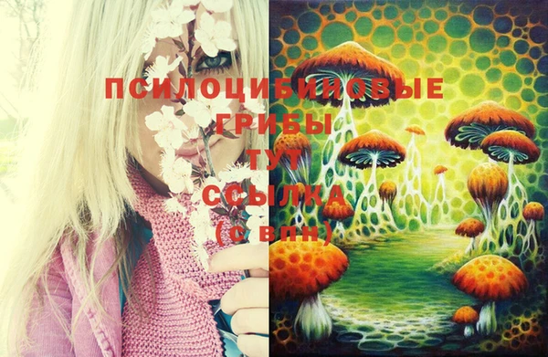 спиды Алексин