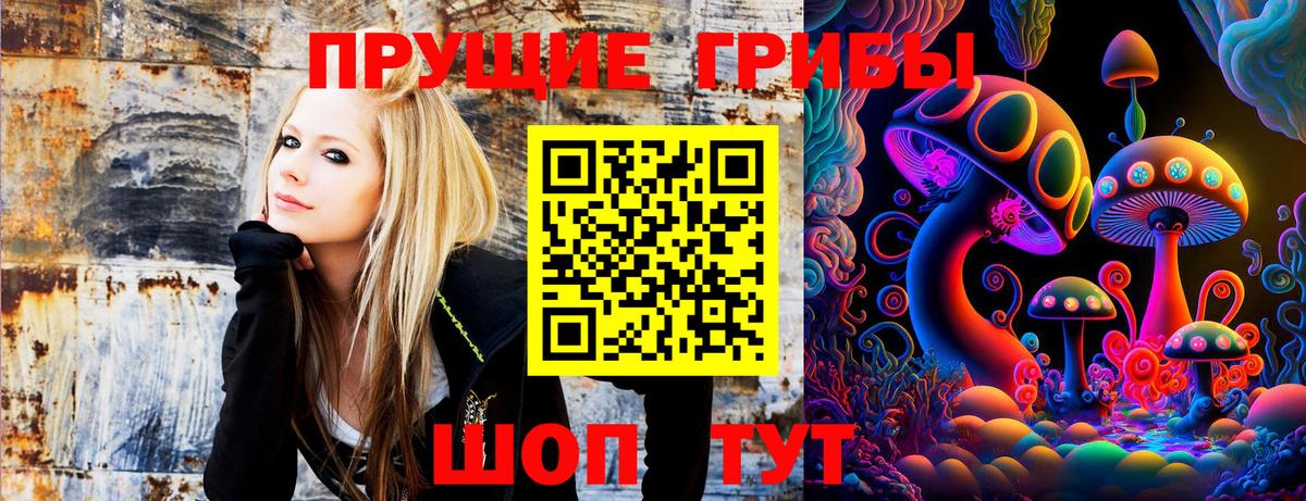 Галлюциногенные грибы прущие грибы  Вход с VPN  Нарьян-Мар 