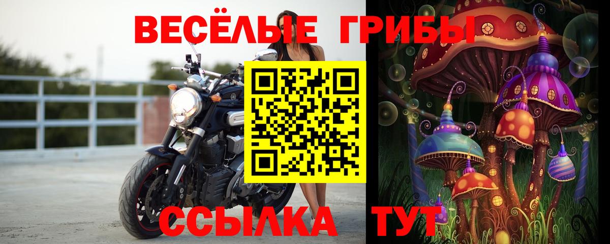 Псилоцибиновые грибы Psilocybine cubensis Нарьян-Мар